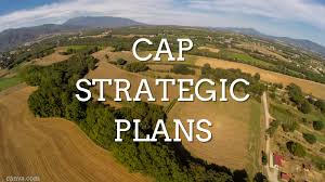 CAP STRATEGIC PLANS