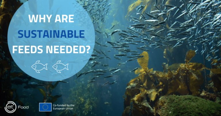 EC sustainable Aquafeed