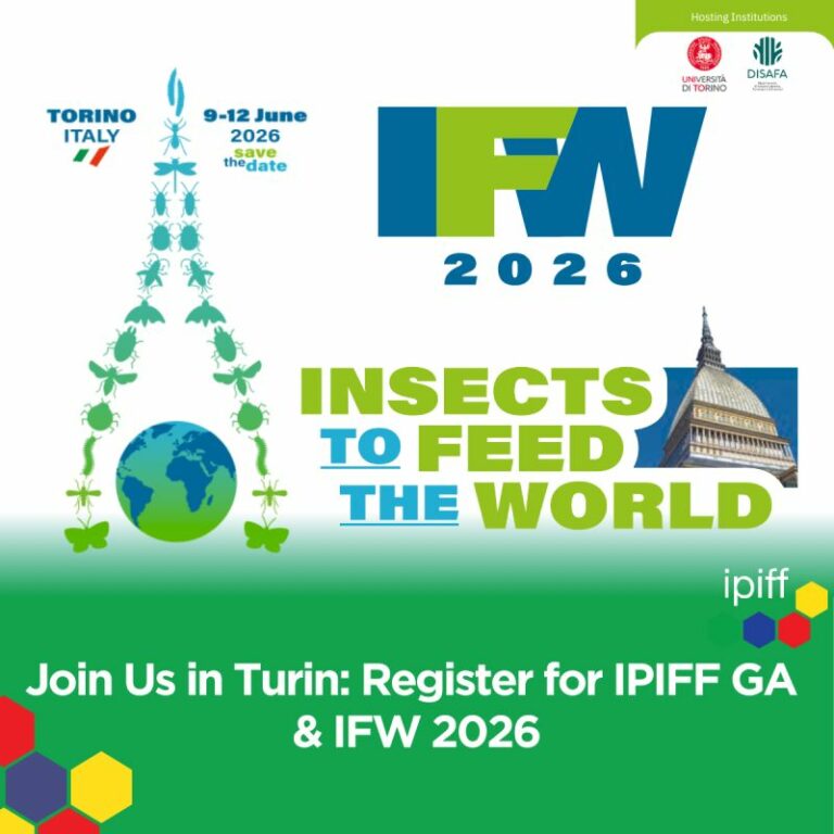 ifw 2026