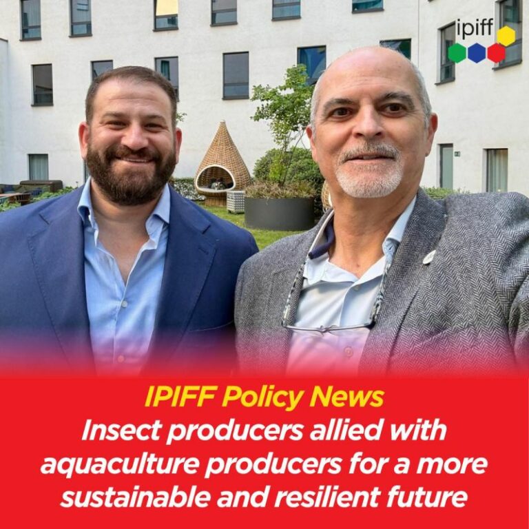 ipiff policy news