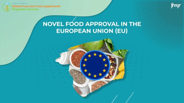 novel food approval