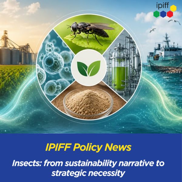 from sustainability to necessity