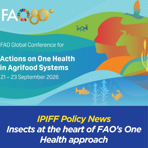 FAO REPORT